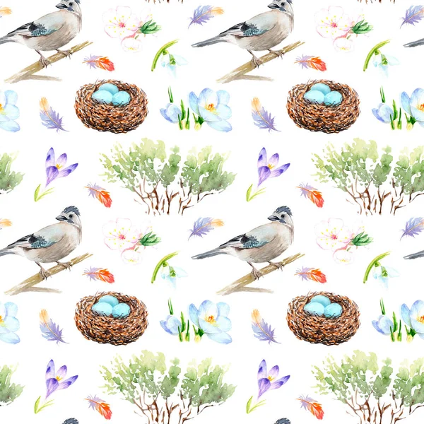 Watercolor seamless pattern - spring, birds, chicks nest — 스톡 사진