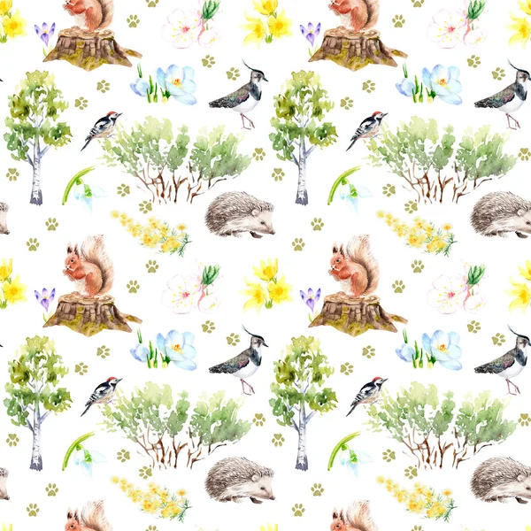 Akvarel bezešvný vzor - jaro, ptáci, veverka, ježek — Stock fotografie