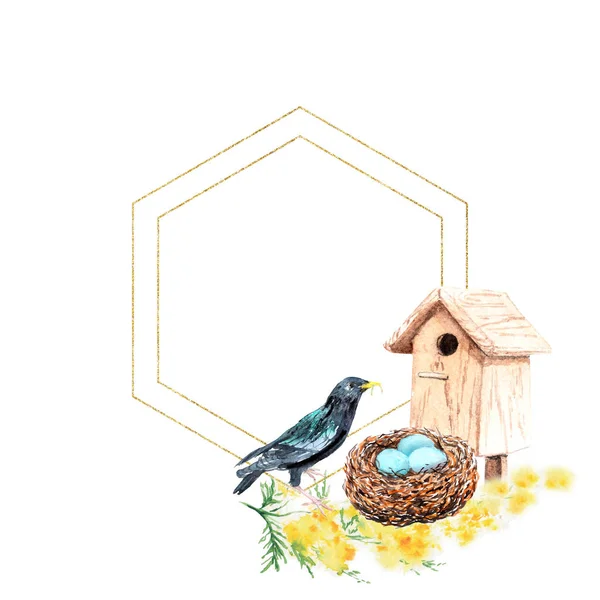 Akvarel Kresba Rám Jarními Květy Kompozice Pták Hnízdící Vejce — Stock fotografie