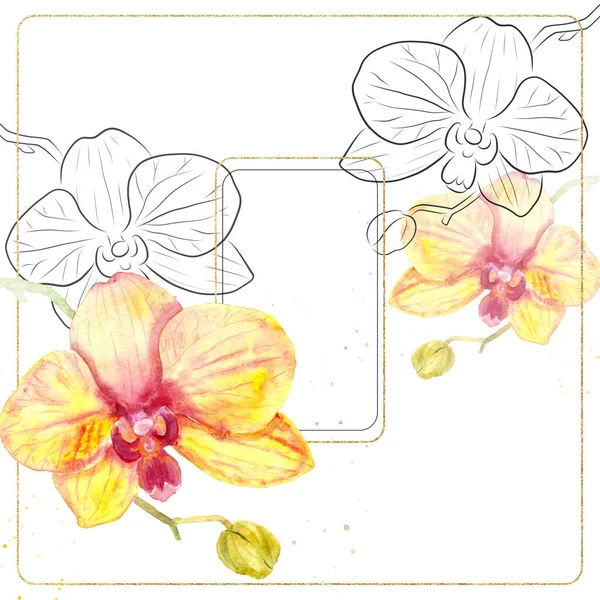 Akvarell Grafikus Rajz Phalaenopsis Virág Díszítésére Névjegykártyák Kártyák Meghívó — Stock Fotó
