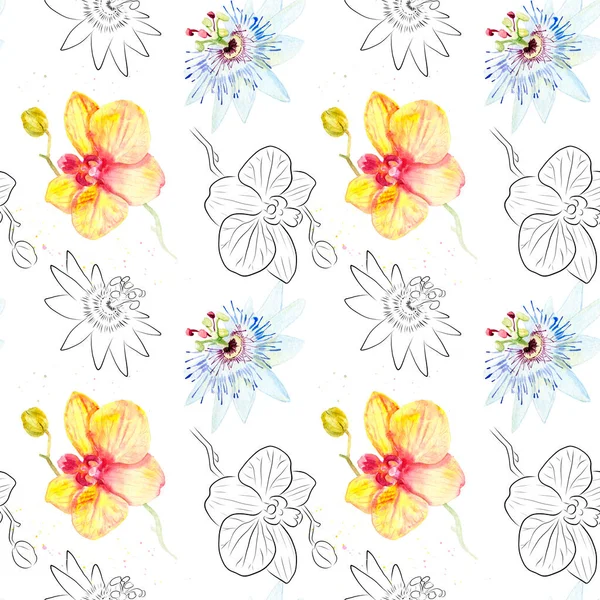 Acuarela dibujo de flores exóticas con contorno - patrón sin costuras —  Fotos de Stock