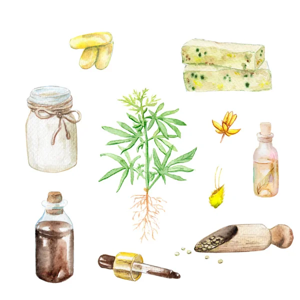 Dibujos Acuarela Cannabis Cáñamo Hojas Pastillas Jabón Gotas Cosméticos Granos —  Fotos de Stock