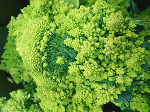 Broccoli en bloemkool, romaneska — Stockfoto
