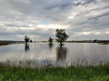 Nehir, tepeler, ağaçlar ve alanları.