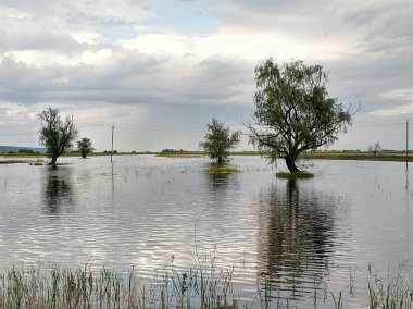 Nehir, tepeler, ağaçlar ve alanları.