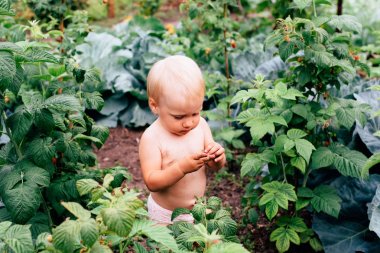 mavi gözlü çocuğun yaz aylarında köyde oynuyor