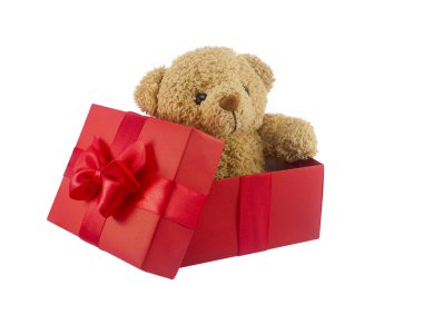 sevimli ayıcık beyaz arka plan WIT Tarih: izole kırmızı hediye kutusunda