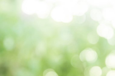 yeşil arka plan, yeşil bokeh arka plan.