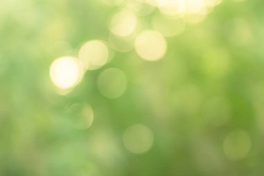 Işık yeşil bokeh doğa arka plan, soyut.