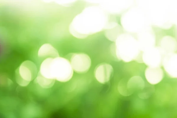 green abstract background, green bokeh background.