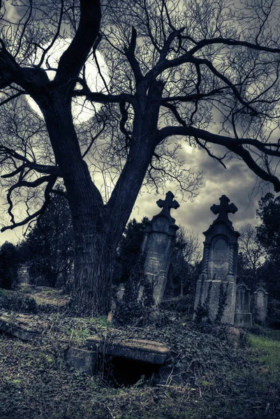 Gotische Szene Mit Geöffnetem Grab — Stockfoto
