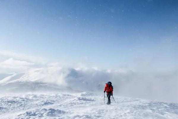 Hiker — Stock Photo, Image