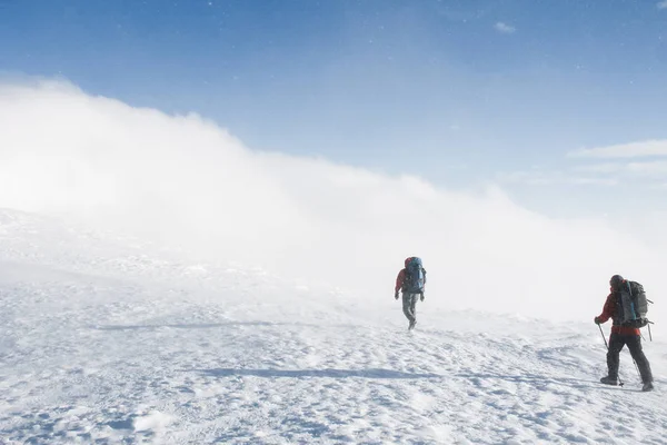 Hikers — Stock Photo, Image