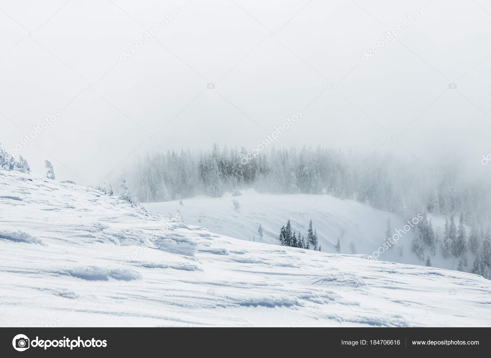 雪写真素材 ロイヤリティフリー雪画像 Depositphotos
