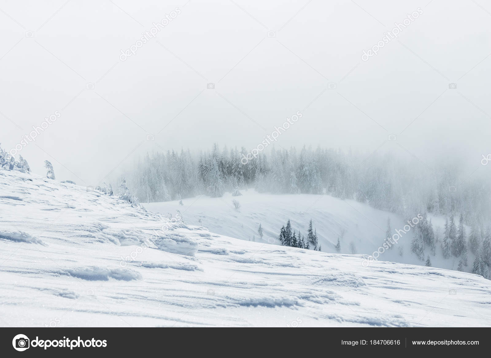 雪写真素材 ロイヤリティフリー雪画像 Depositphotos 雪写真素材 ロイヤリティフリー雪画像 Depositphotos