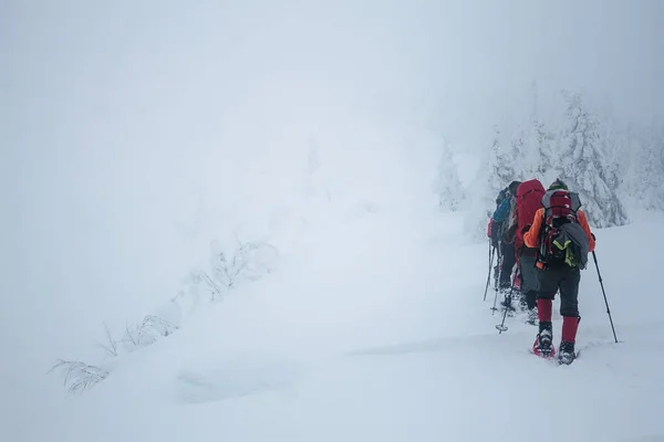 등산가들 — 스톡 사진