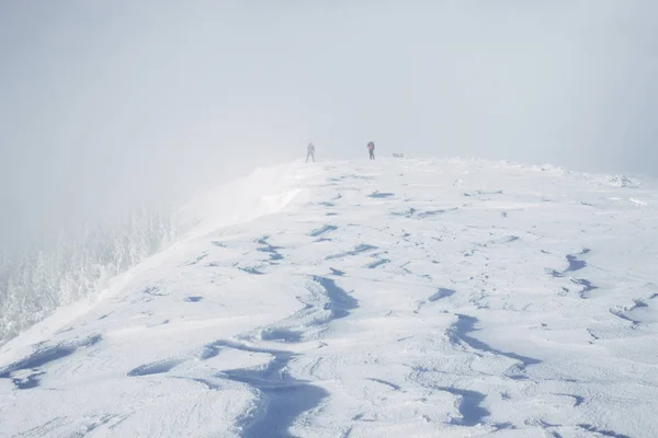 Gorgany berg — Stockfoto