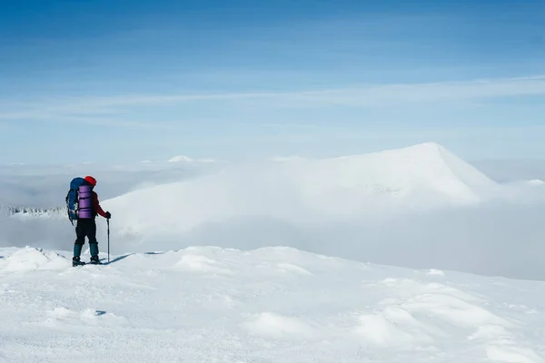 Альпинист — стоковое фото