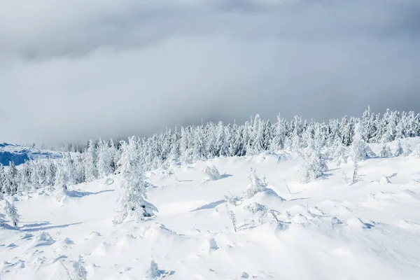 Schöner Winter — Stockfoto