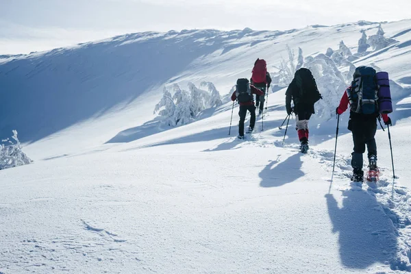 Bergsklättring — Stockfoto