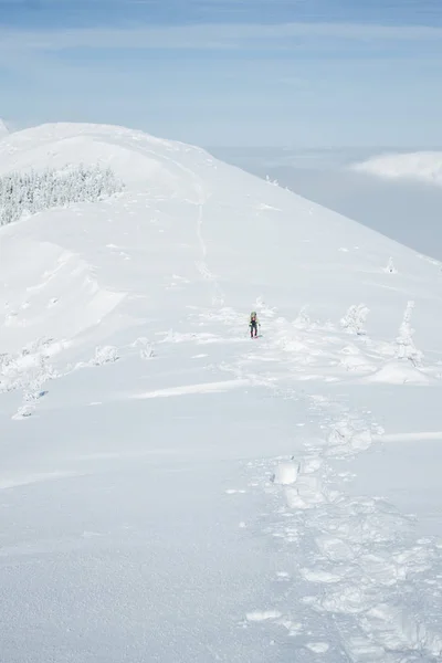 Alpinista — Darmowe zdjęcie stockowe