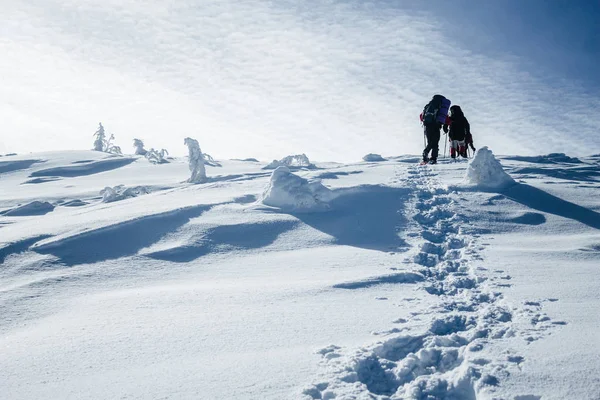 Footprints — Stock Photo, Image