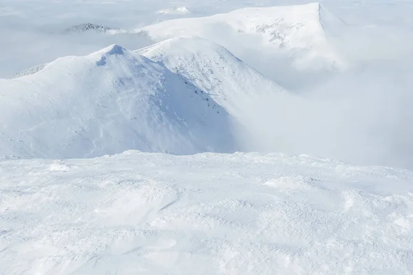 雪 — 图库照片