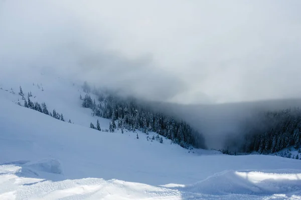 Besneeuwde weer — Stockfoto