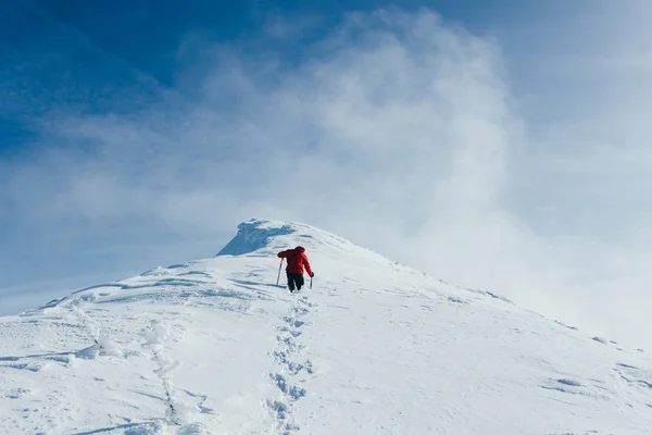 Hiker — Stock Photo, Image