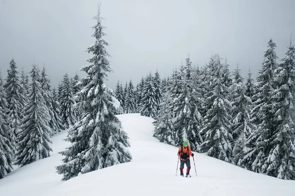 Hiker — Stock Photo