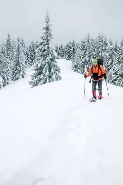 Alpinista — Fotografia de Stock