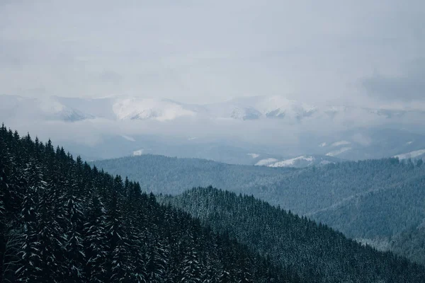 Paesaggio — Foto stock