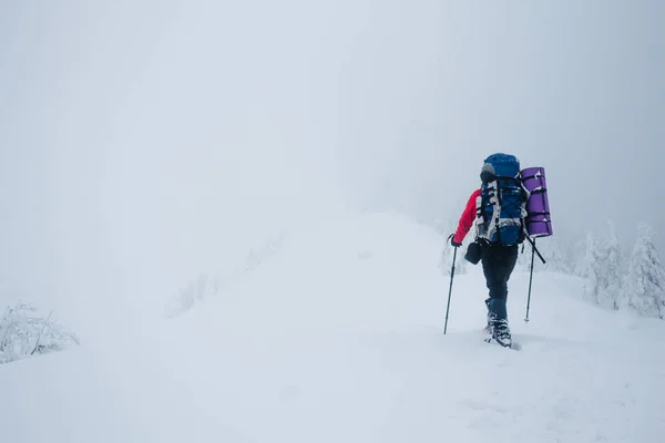 Sac à dos — Photo de stock