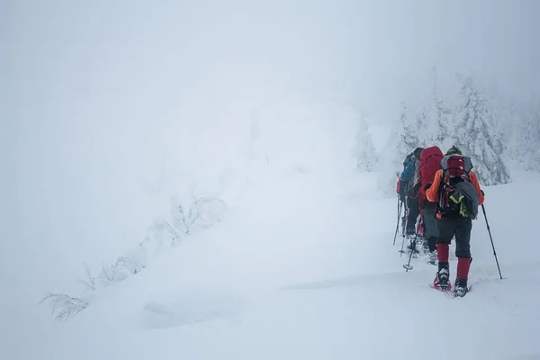 Hikers — Stock Photo