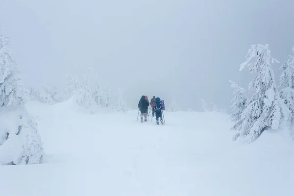 Alpinisti — Foto stock