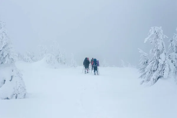 Mountaineers — Stock Photo