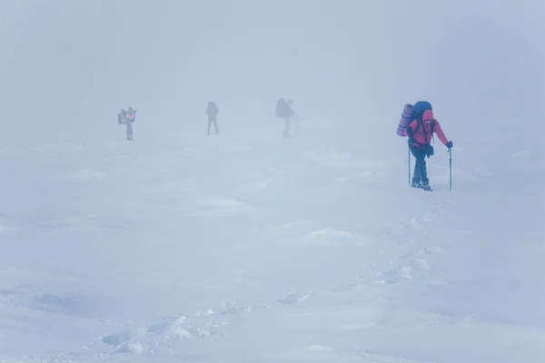 Nebel — Stockfoto