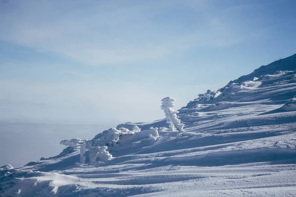 Montagna — Foto stock