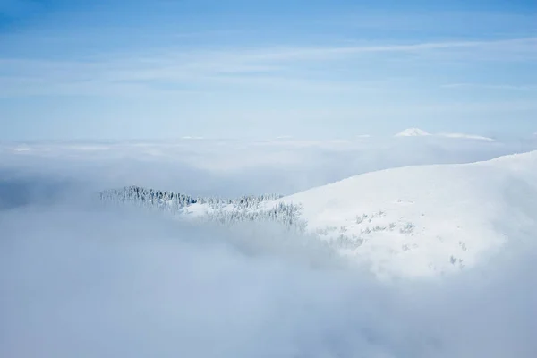 Nebel — Stockfoto