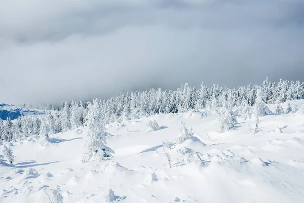 Bellissimo inverno — Foto stock