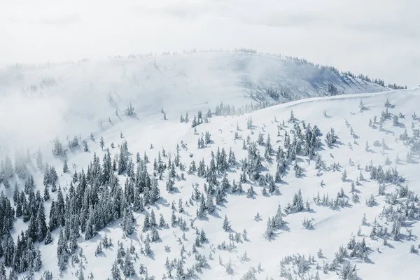 Aérien — Photo de stock