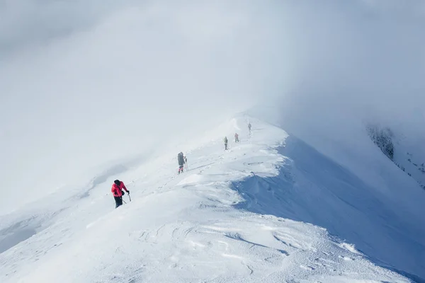 Альпіністи — стокове фото