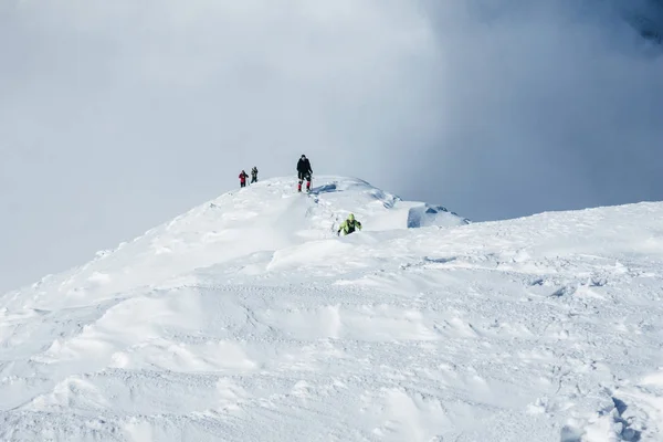 Команда альпинистов — стоковое фото