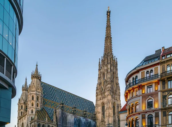 Cattedrale di Santo Stefano, Vienna — Foto Stock