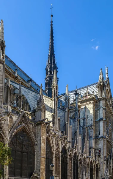 Senhora de notre de Paris — Fotografia de Stock