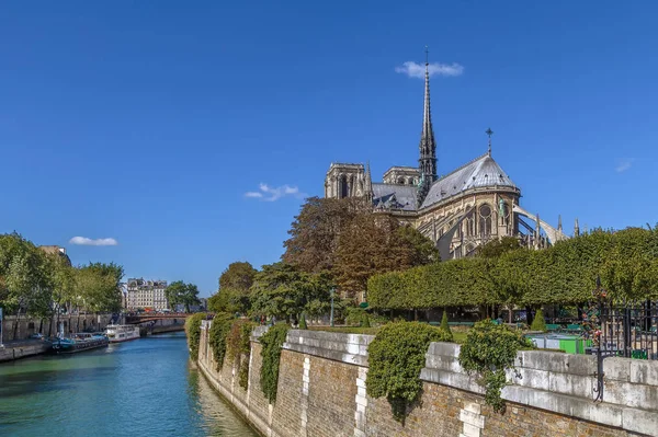 Notre Dame w Paryżu — Zdjęcie stockowe