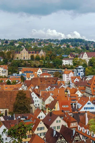 テュービンゲン、ドイツの眺め — ストック写真