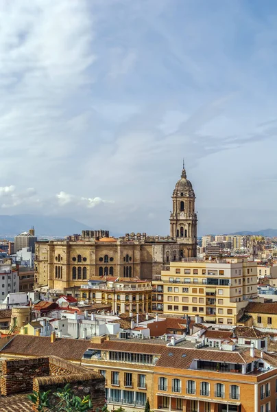 Cattedrale di Malaga, Spagna — Foto Stock