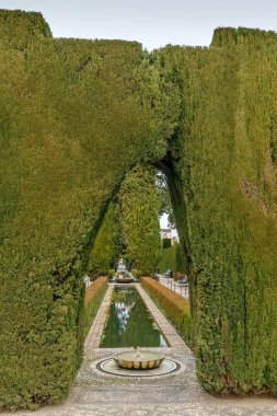 Çeşme ve Generalife, Granada havuzda