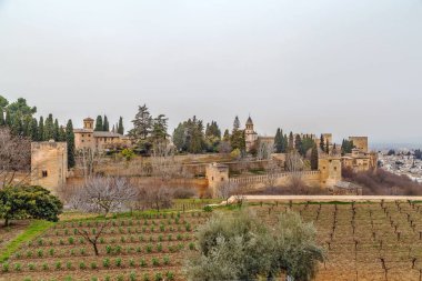 görünümünü Alhambra, Granada, İspanya